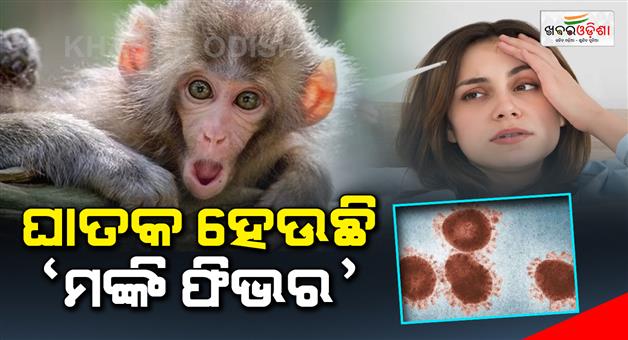 Khabar Odisha:Monkey-Fever-is-a-daily-killer-Health-Department-warns