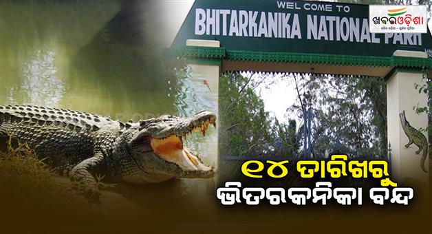 Khabar Odisha: