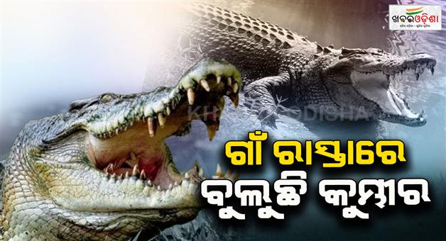 Khabar Odisha:
