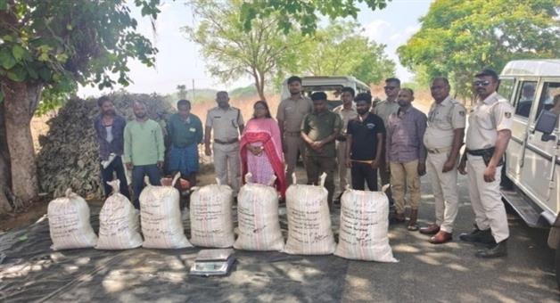 Khabar Odisha:106-kg-ganja-seized-in-subarnapur-three-held