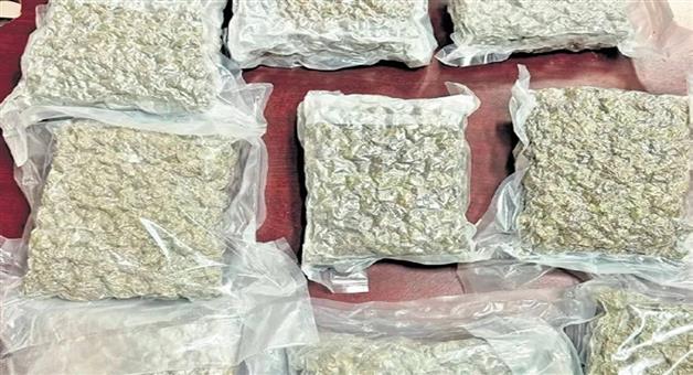 Khabar Odisha:106-kg-ganja-seized-near-berhampur-three-arrested