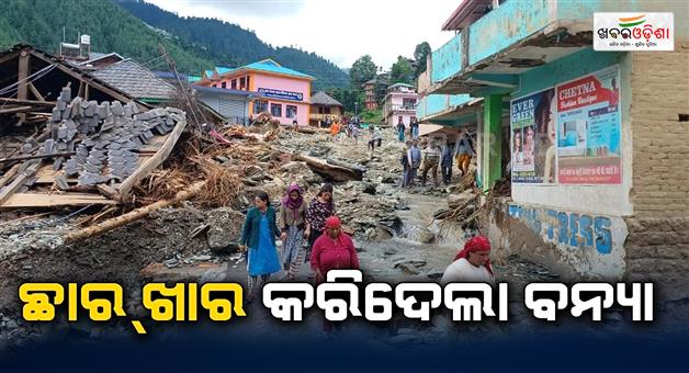 Khabar Odisha:16-people-have-died-246-road-closed-five-districts-in-Himachal-are-likely-to-face-floods