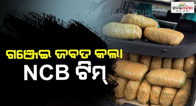 Khabar Odisha:171-kg-of-marijuana-seized-from-car-one-arrested