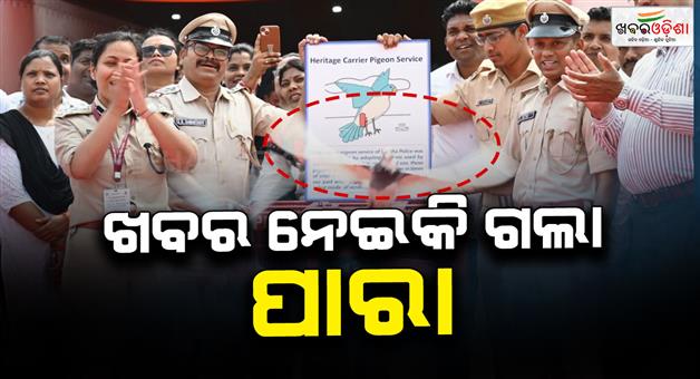 Khabar Odisha:18-pigeons-flew-from-Bhubaneswar-to-Cuttack-carrying-a-message