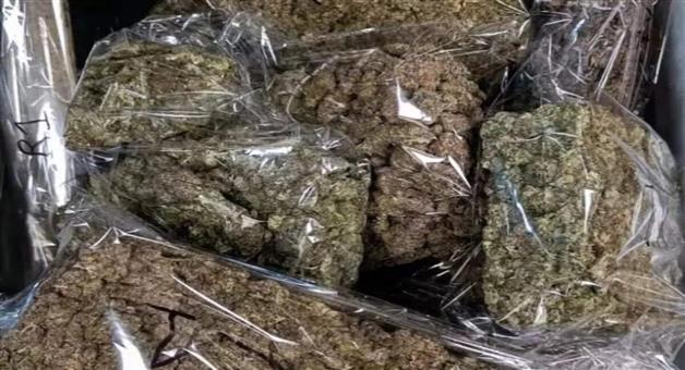 Khabar Odisha:18kg-ganja-seized-and-the-accused-is-arrested