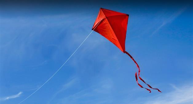 Khabar Odisha:2-injured-in-kite-string