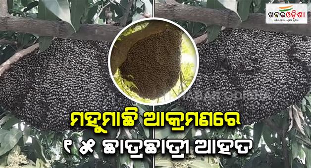 Khabar Odisha:20-Students-Of--Pvt-School-Injured-In-Bee-Attack-During-Saraswati-Puja-In-Bhawanipatana