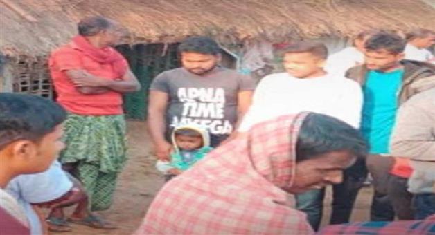 Khabar Odisha:20-goats-died-due-to-the-terror-of-unknown-animals-forest-department-and-veterinarian-have-started-investigation-at-the-scene