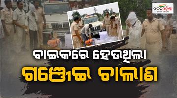Khabar Odisha:22-Kg-Ganja-Seized-in-Jharsuguda-One-Arrested-Two-Flee