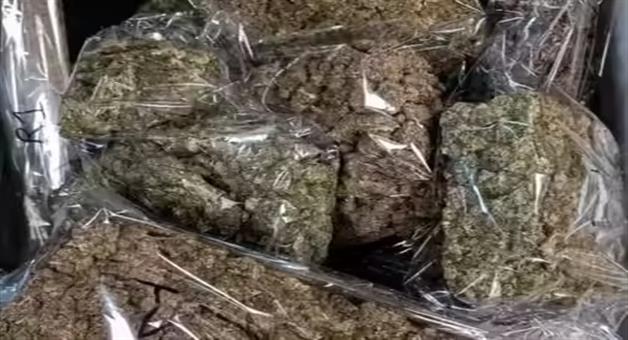 Khabar Odisha:22-packets-of-stolen-marijuana-seized-from-parcel-delivery-truck
