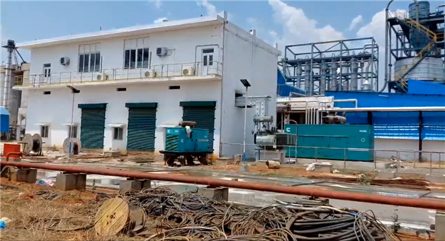 Khabar Odisha:25-cows-dead-due-to-polluted-water