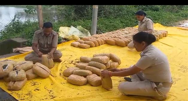 Khabar Odisha:25-packet-ganja-seized