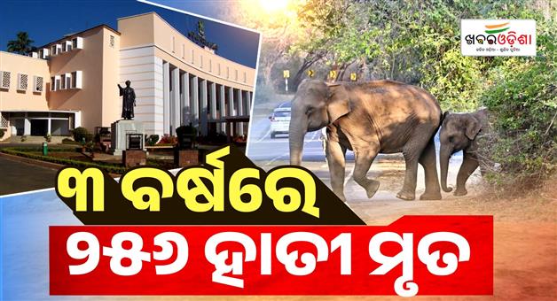 Khabar Odisha:256-elephants-died-in-the-state-over-three-years