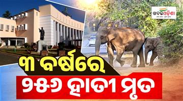 Khabar Odisha:256-elephants-died-in-the-state-over-three-years