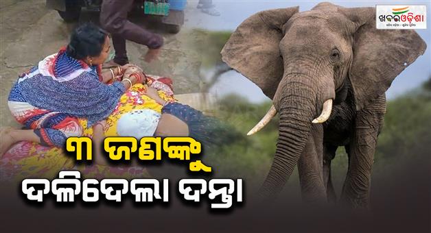 Khabar Odisha:3-dies-in-elephant-attack-in-dhenkanal