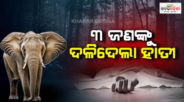 Khabar Odisha:3-ladies-died-for-elephant-attack