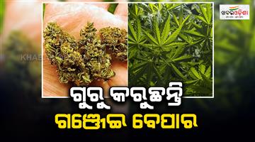 Khabar Odisha:3-teachers-arrested-in-ganja-business-in-2-different-case