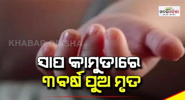 Khabar Odisha:3-year-old-boy-died-of-snake-bite