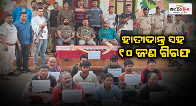 Khabar Odisha:30-Kg-Ivory-Seized-10-Poachers-Arrested-In-Baripada