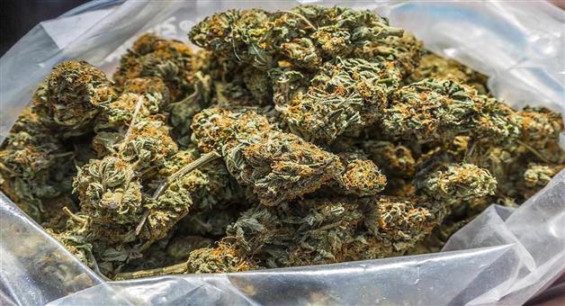 Khabar Odisha:30-crore-of-cannabis-seized-from-bhubaneswar-airport
