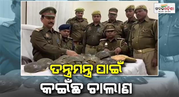 Khabar Odisha:35-prohibited-turtles-worth-8-lakh-seized-at-railway-station-by-GRP-and-RPF