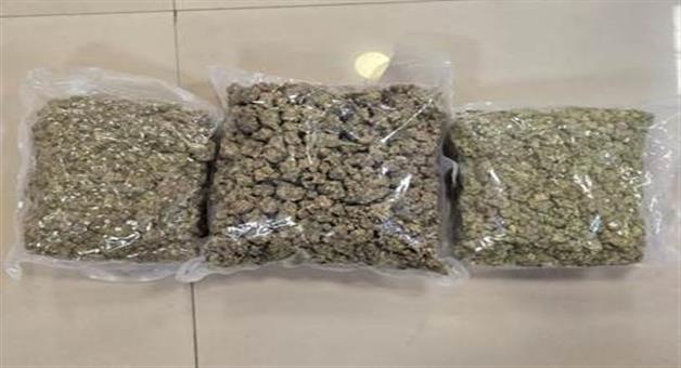 Khabar Odisha:4-cr-rupees-of-hydroponic-cannabies-seized-at-bhubaneswar-airport