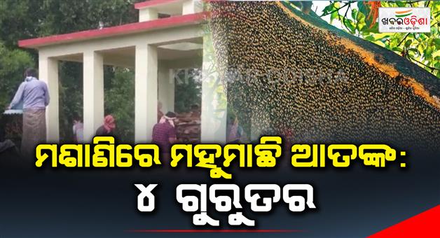Khabar Odisha:4-critical-as-bees-attack-during-last-rites-in-odisha