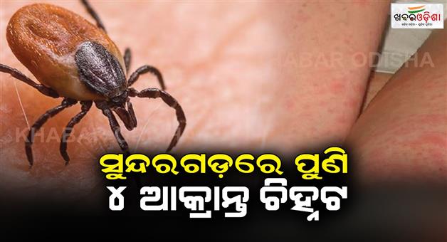 Khabar Odisha:4-more-scrub-typhus-Patient-detected-in-Sundergarh