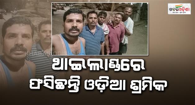 Khabar Odisha:4-odia-migrant-labours-request-to-rescue-from-thailand