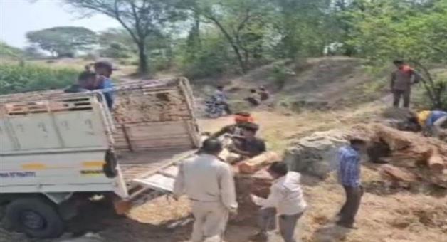 Khabar Odisha:40-quintals-of--wood-seized