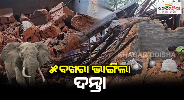 Khabar Odisha:5-house-broke-by-elephant