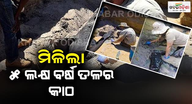 Khabar Odisha:5-million-years-old-wood-fell