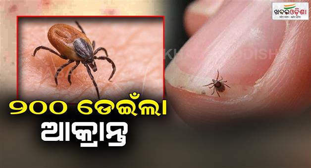 Khabar Odisha:5-more-outbreaks-have-been-detected-in-Sundergarh-district