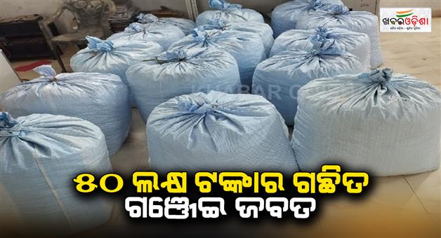 Khabar Odisha:50-lakh-worth-of-cannabis-seized