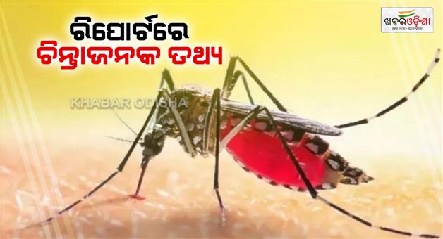 Khabar Odisha:51-lakh-people-are-expected-to-be-affected-by-Chikungunya-every-year-in-India