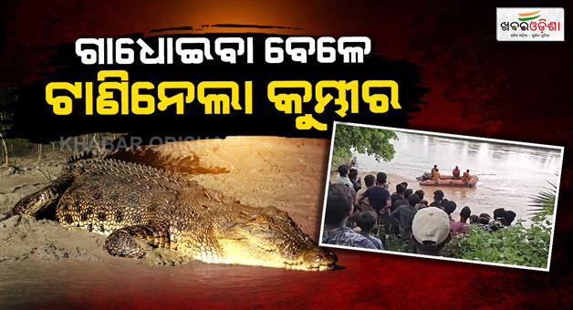 Khabar Odisha:52-year-old-man-dragged-by-crocodile-in-kharasrota-river-in-jajpur-search-on