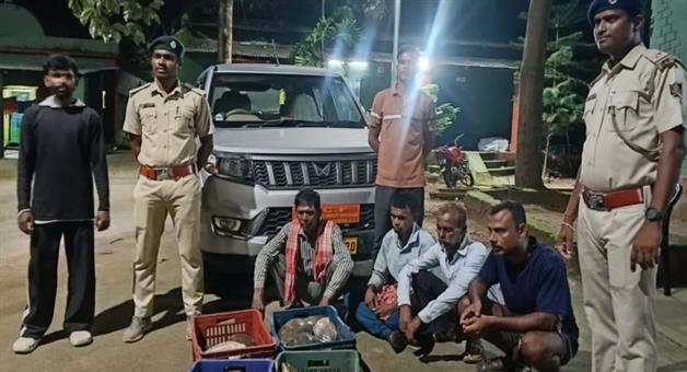 Khabar Odisha:55-live-turtles-seized-in-malkangiri-4-arrested