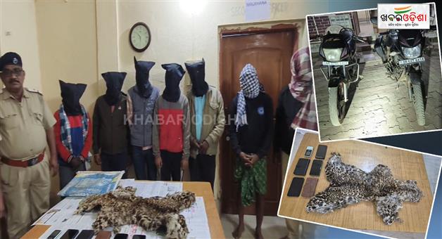 Khabar Odisha:7-arrested-by-forest-deparment-with-tiger-skin