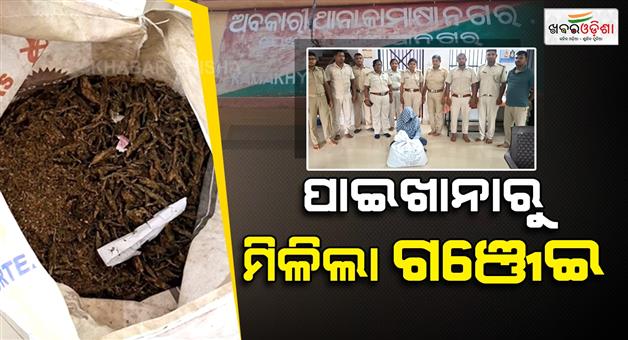 Khabar Odisha:81-kg-of-cannabis-seized-from-a-toilet