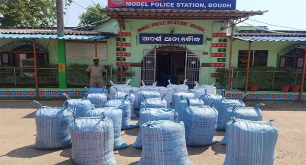 Khabar Odisha:800-kg-of-cannabis-was-seized