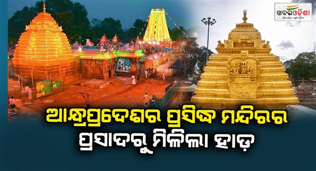 Khabar Odisha:A-bone-found-in-the-Prasad-of-a-famous-temple-in-Andhra-Pradesh