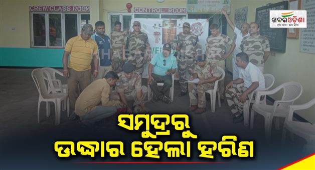 Khabar Odisha:A-deer-was-rescued-from-the-at-Paradbip-Port