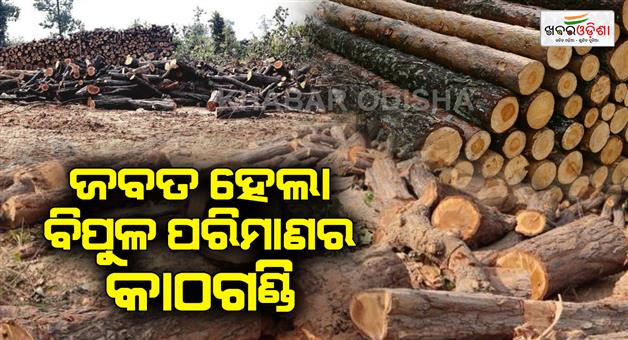 Khabar Odisha:A-huge-quantity-of-logs-was-seized-from-the-forest