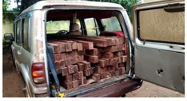 Khabar Odisha:A-large-quantity-of-timber-was-seized-and-traffic-was-carried-on-late-at-night