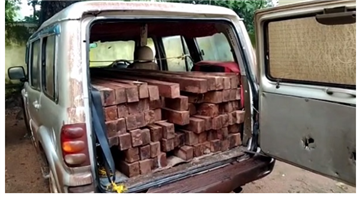 Khabar Odisha:A-large-quantity-of-timber-was-seized-and-traffic-was-carried-on-late-at-night