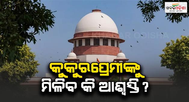 Khabar Odisha:A-new-bench-of-3-judges-will-hear-the-case-of-dogs-in-the-SC