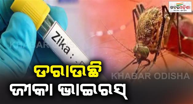 Khabar Odisha:A-person-from-Mumbai-is-now-suffering-from-Zika-virus