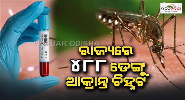Khabar Odisha:A-total-of-488-dengue-cases-have-been-detected-in-the-state-this-year