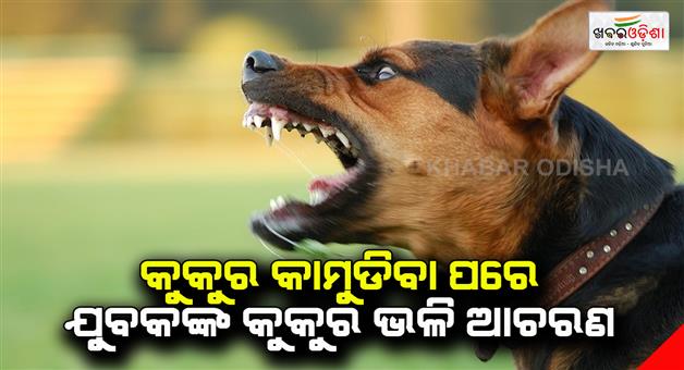Khabar Odisha:A-young-man-behaves-like-a-dog-after-being-bitten-by-a-dog
