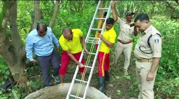 Khabar Odisha:After-four-hours-of-unrelenting-efforts-the-bear-was-rescued-from-the-well